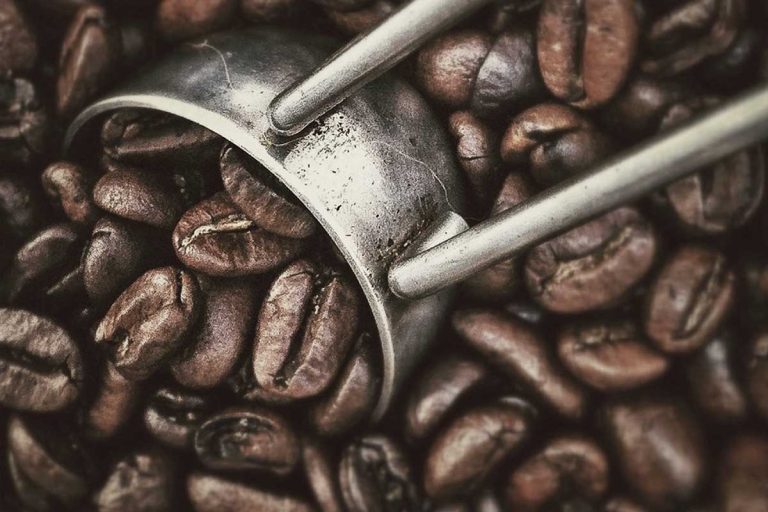 Coffee Roasts Guide