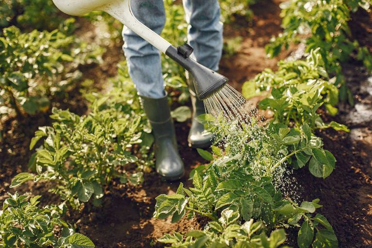 Understanding Organic Labels on Farm Products