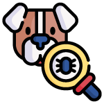 dog fleas