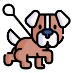 dog walking