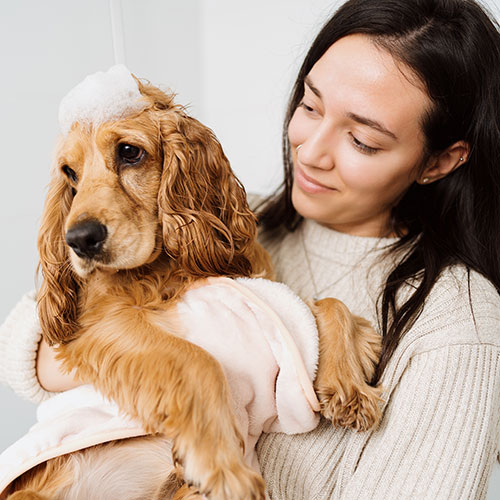 pet trainer