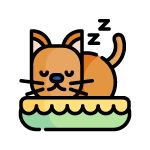pet-bed